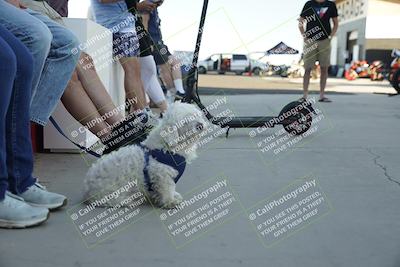 media/Oct-04-2025-Classic Track Days (Sat) [[b9f2049d9d]]/Award Photos/